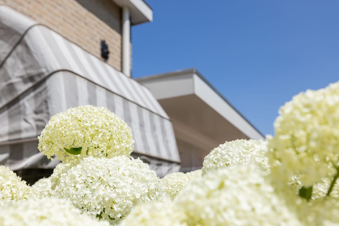 Photo 58 of Aalscholverlaan 24