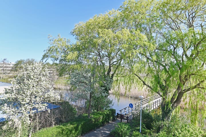 Foto 58 van Leeuweriklaan 41