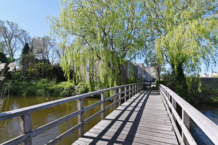 Foto 65 van Leeuweriklaan 41