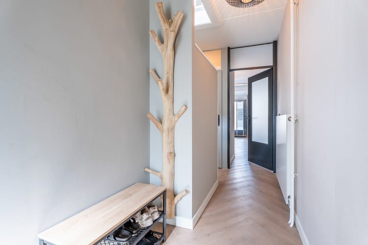 Foto 5 van Dwergstern 20