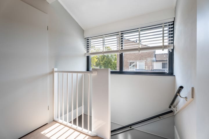 Foto 17 van Dwergstern 20