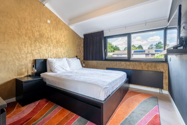 Foto 18 van Dwergstern 20