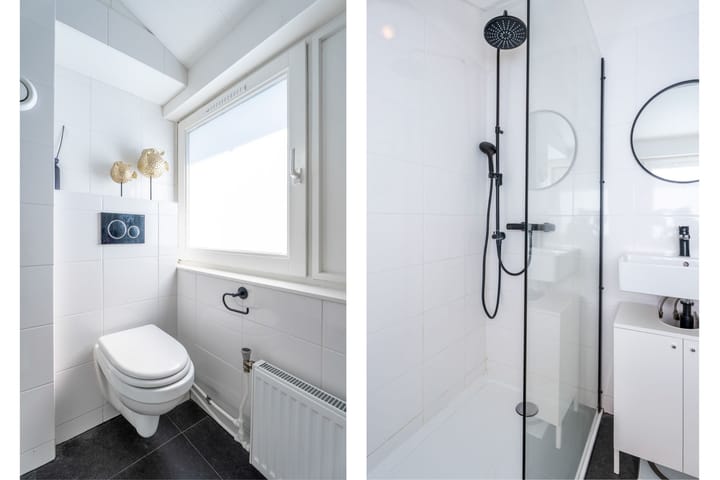 Foto 24 van Dwergstern 20