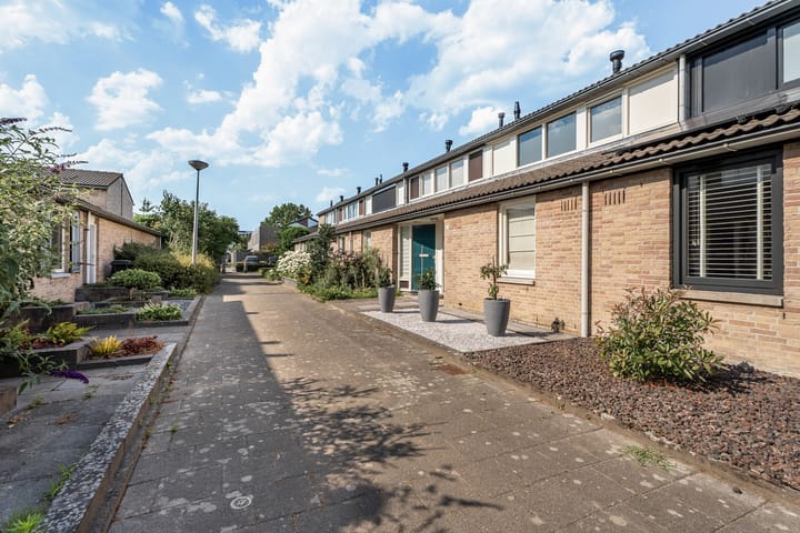 Foto 27 van Dwergstern 20