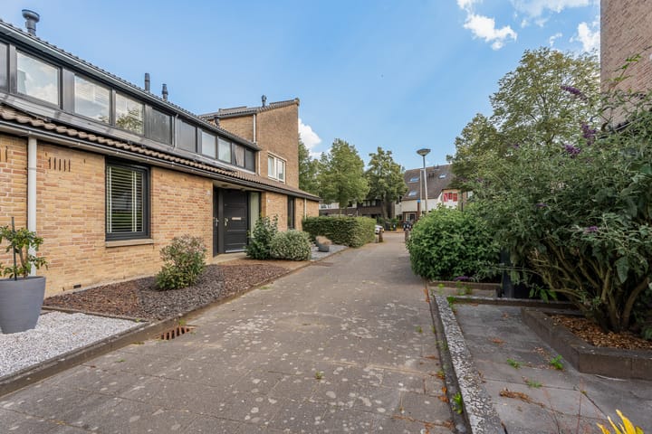 Foto 28 van Dwergstern 20