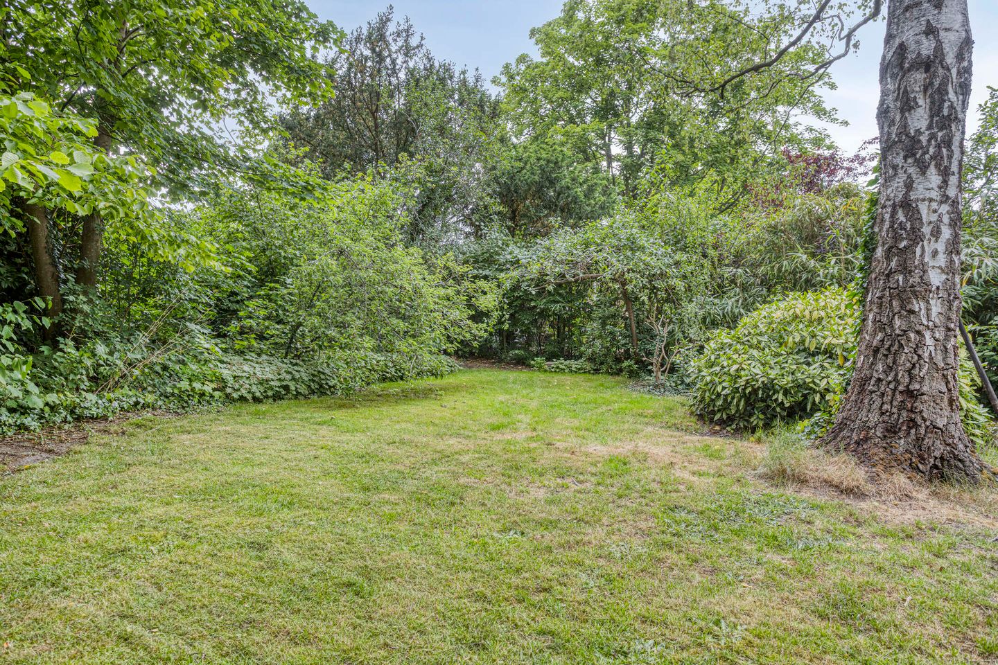 Foto 59 van Kardinaal van Rossumstraat 32