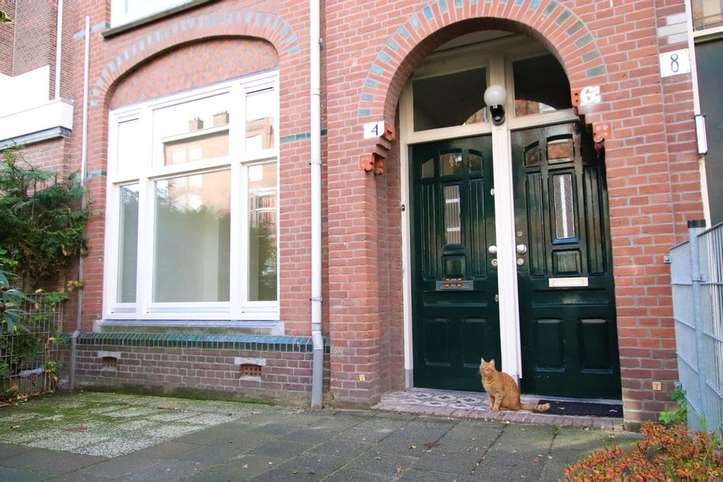 Foto 15 van Professor Kaiserstraat 4