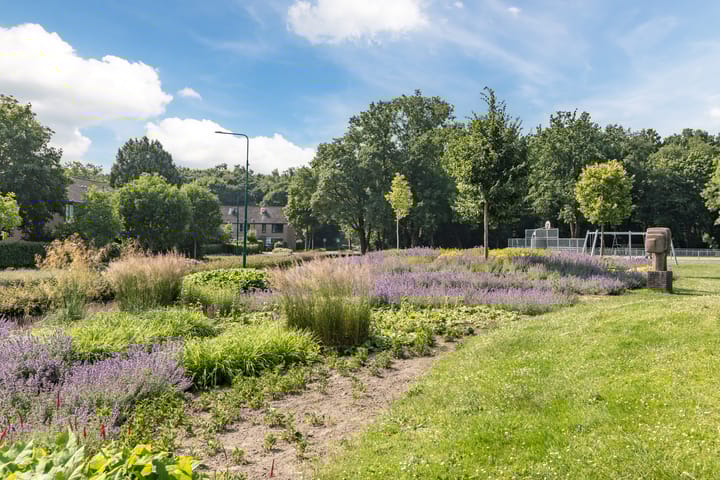 Foto 5 van Dassenburcht 44