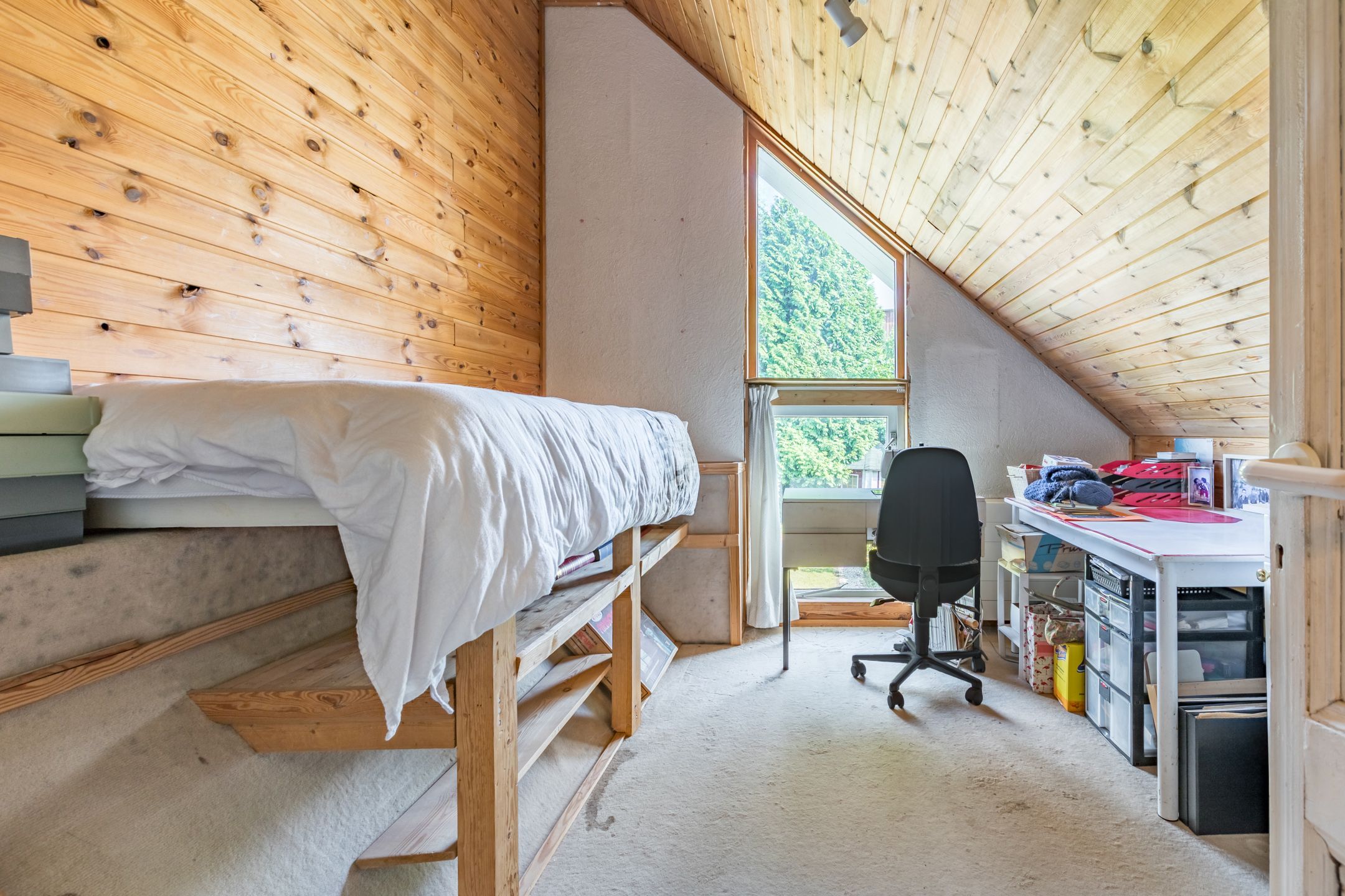 Foto 12 van Dassenburcht 44