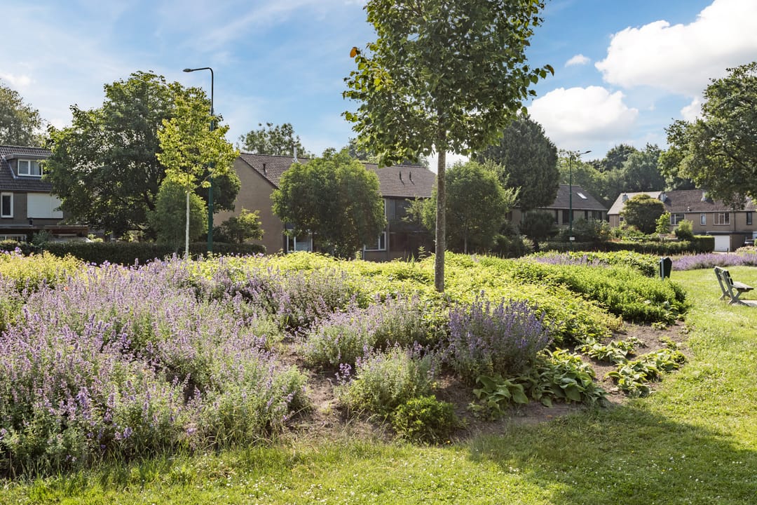 Foto 23 van Dassenburcht 44