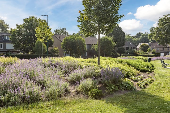 Foto 23 van Dassenburcht 44