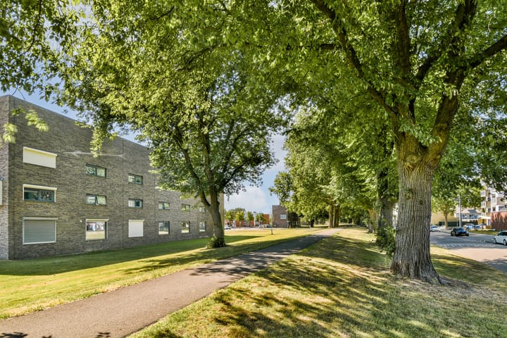 Foto 41 van Sorongstraat 26