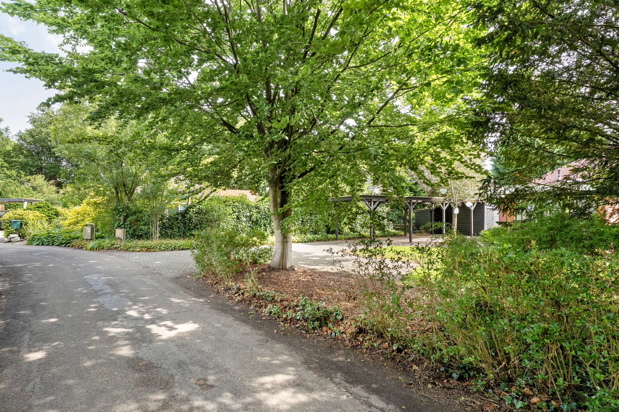 Foto 12 van Nieuwland 4