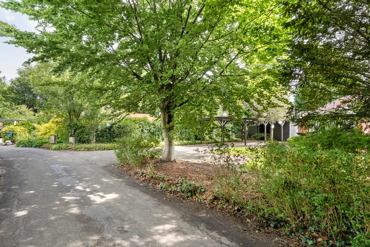 Foto 12 van Nieuwland 4