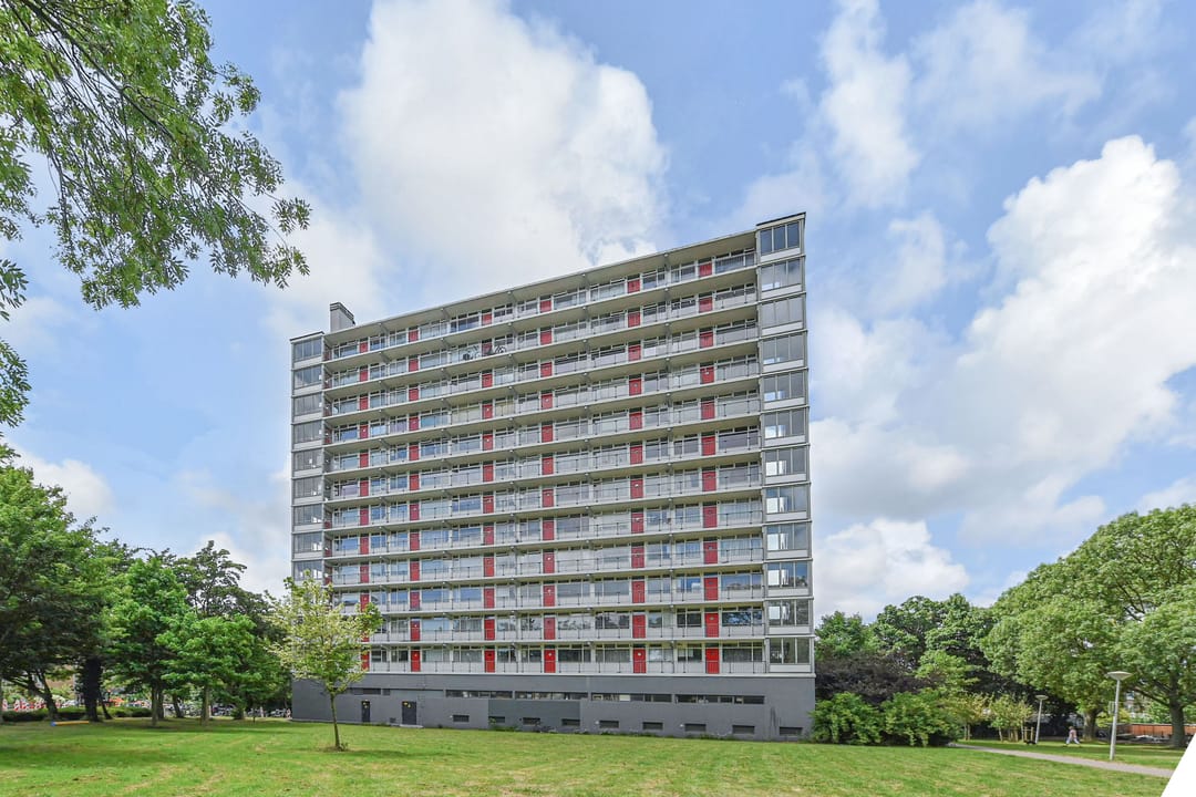 Foto 1 van Elviraland 100