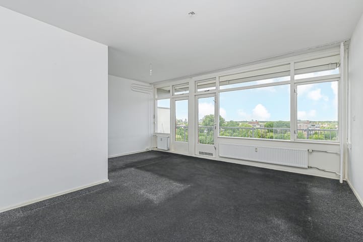 Foto 2 van Elviraland 100