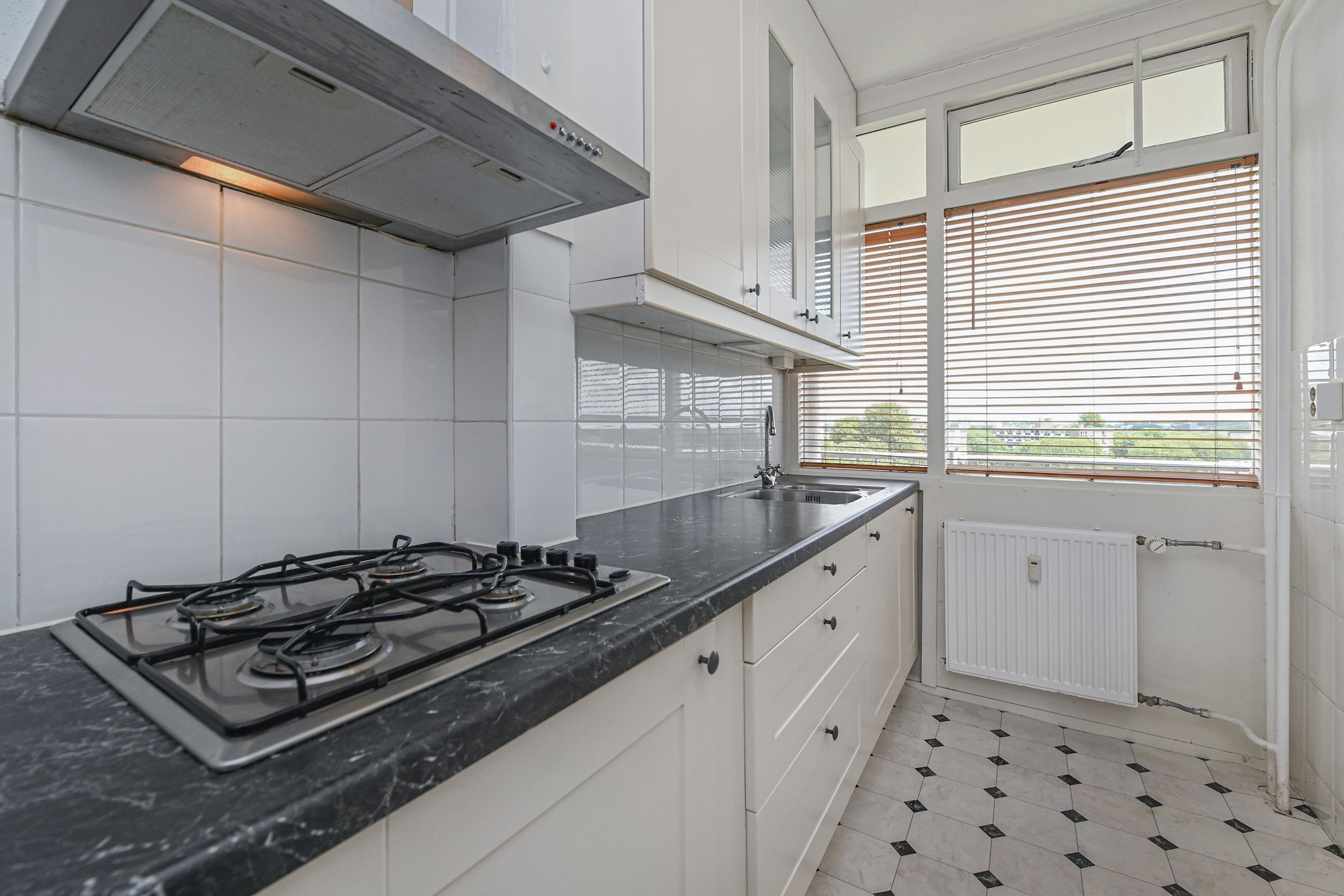 Foto 3 van Elviraland 100