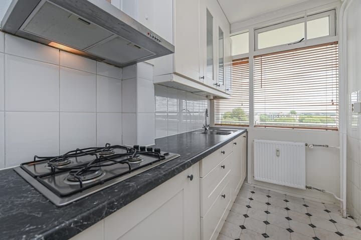 Foto 3 van Elviraland 100