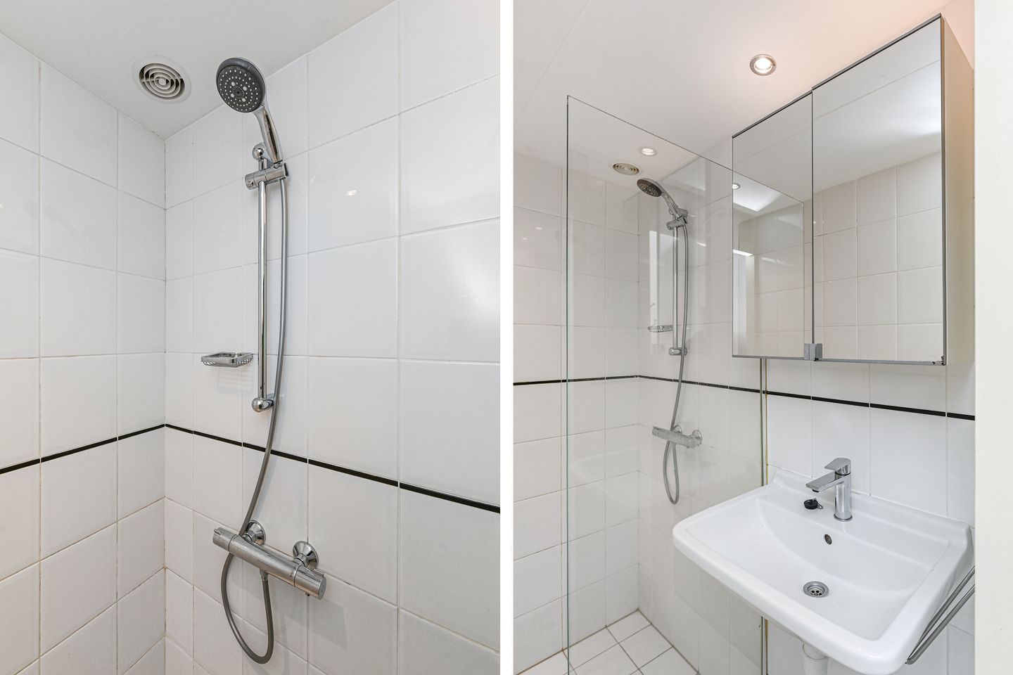 Foto 4 van Elviraland 100