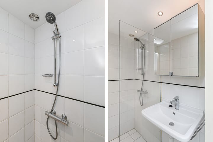 Foto 4 van Elviraland 100