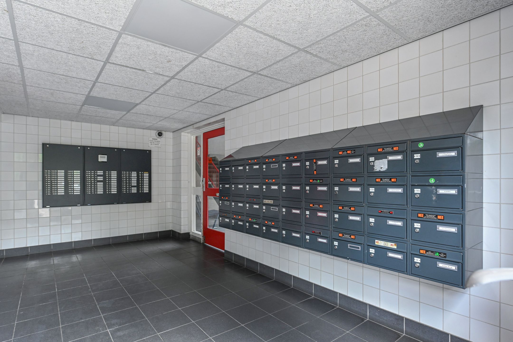 Foto 6 van Elviraland 100