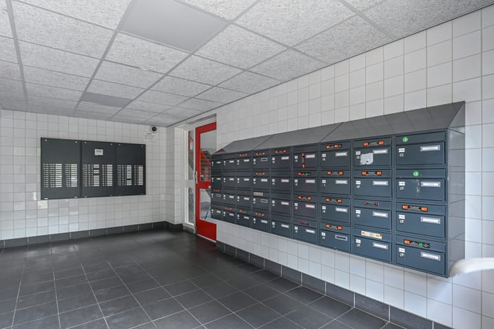 Foto 6 van Elviraland 100