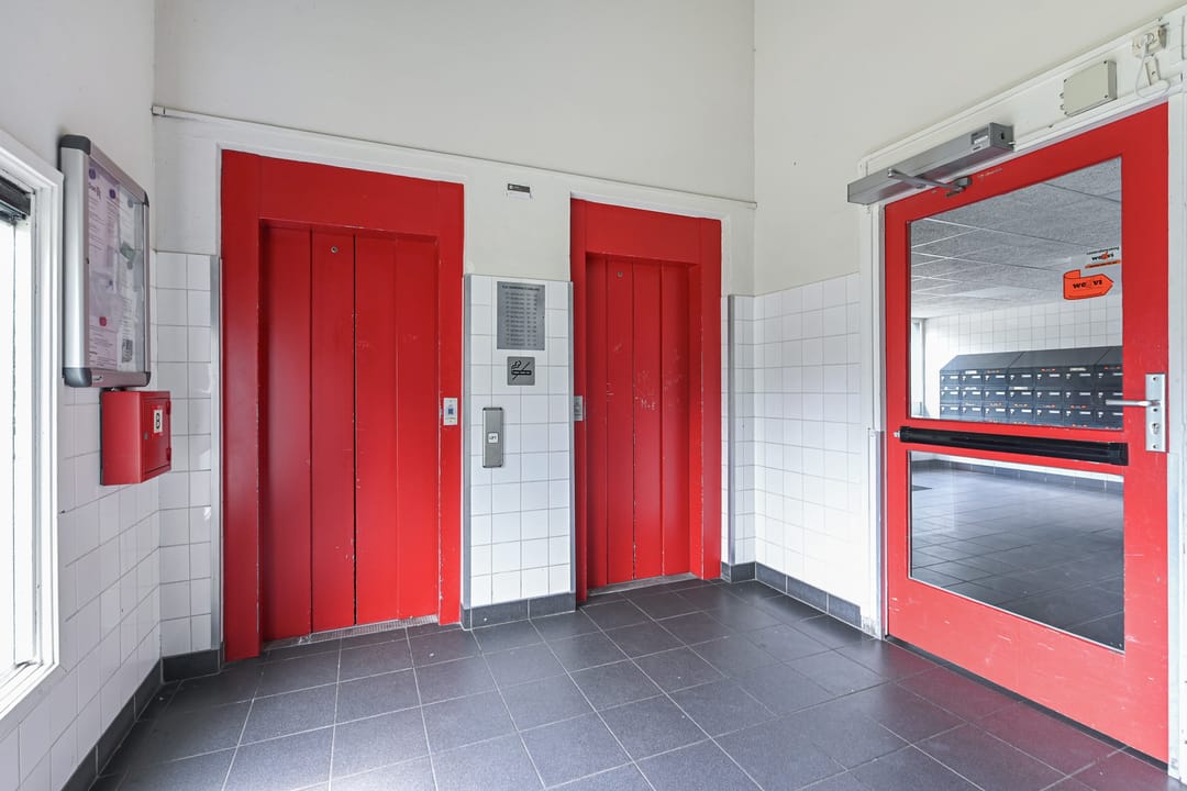 Foto 7 van Elviraland 100