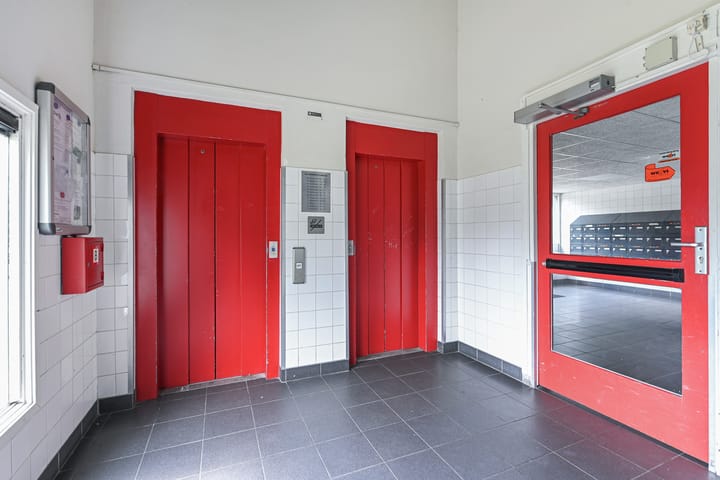 Foto 7 van Elviraland 100