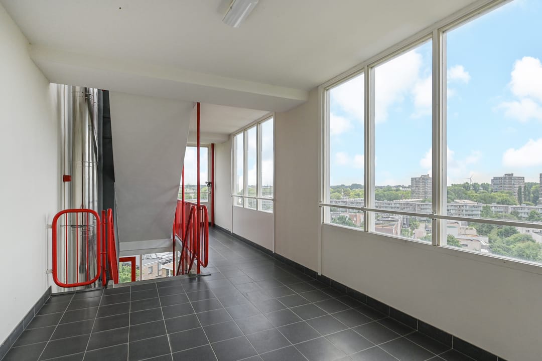 Foto 8 van Elviraland 100