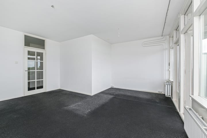 Foto 14 van Elviraland 100