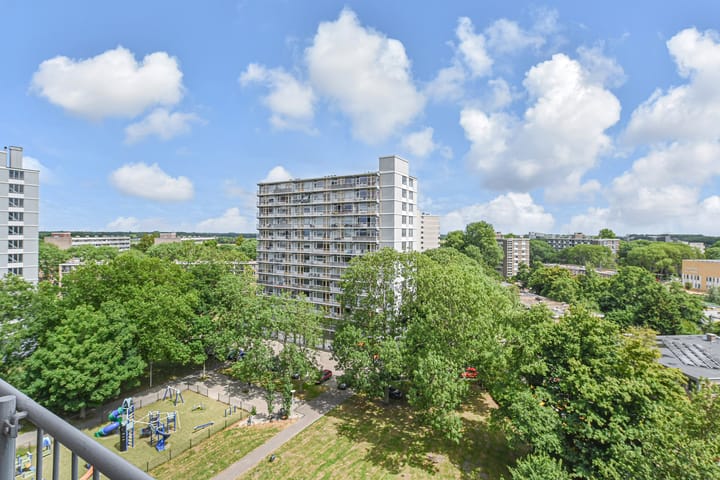 Foto 24 van Elviraland 100