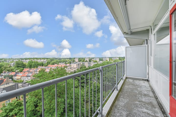 Foto 25 van Elviraland 100