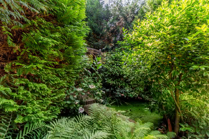 Foto 33 van Heemsteedse Dreef 244