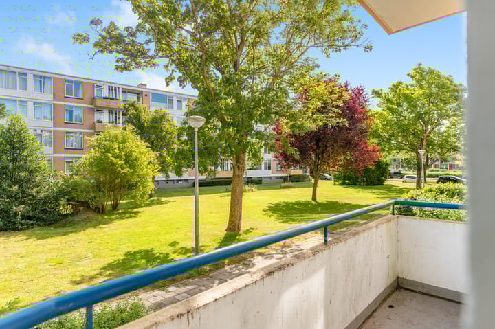 Foto 3 van Van Ostadelaan 178