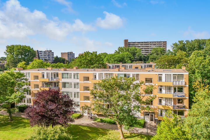 Foto 25 van Van Ostadelaan 178