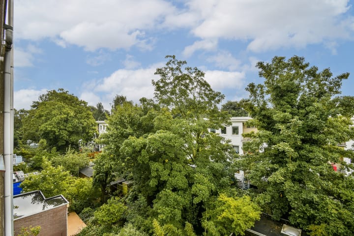 Foto 11 van Vrolikstraat 46-3