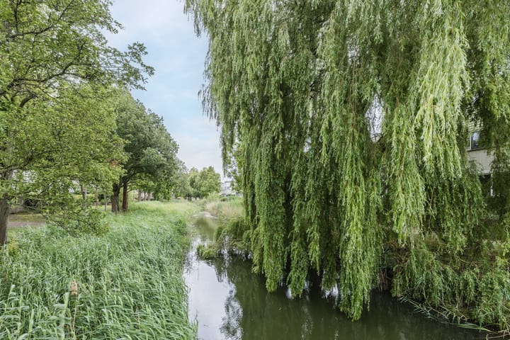 Foto 28 van Oturia 4