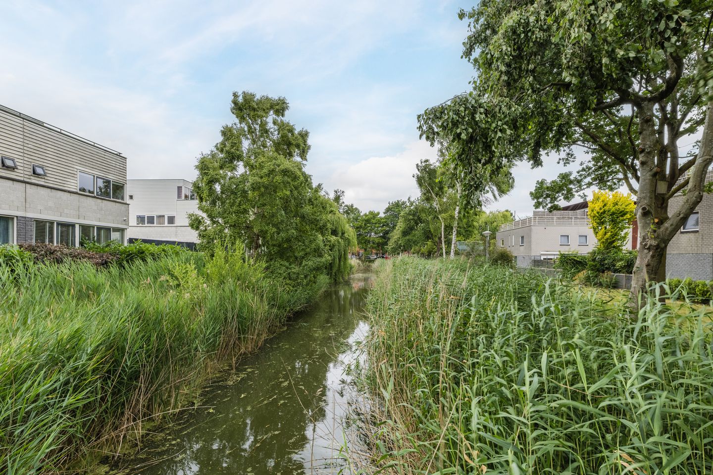 Foto 29 van Oturia 4