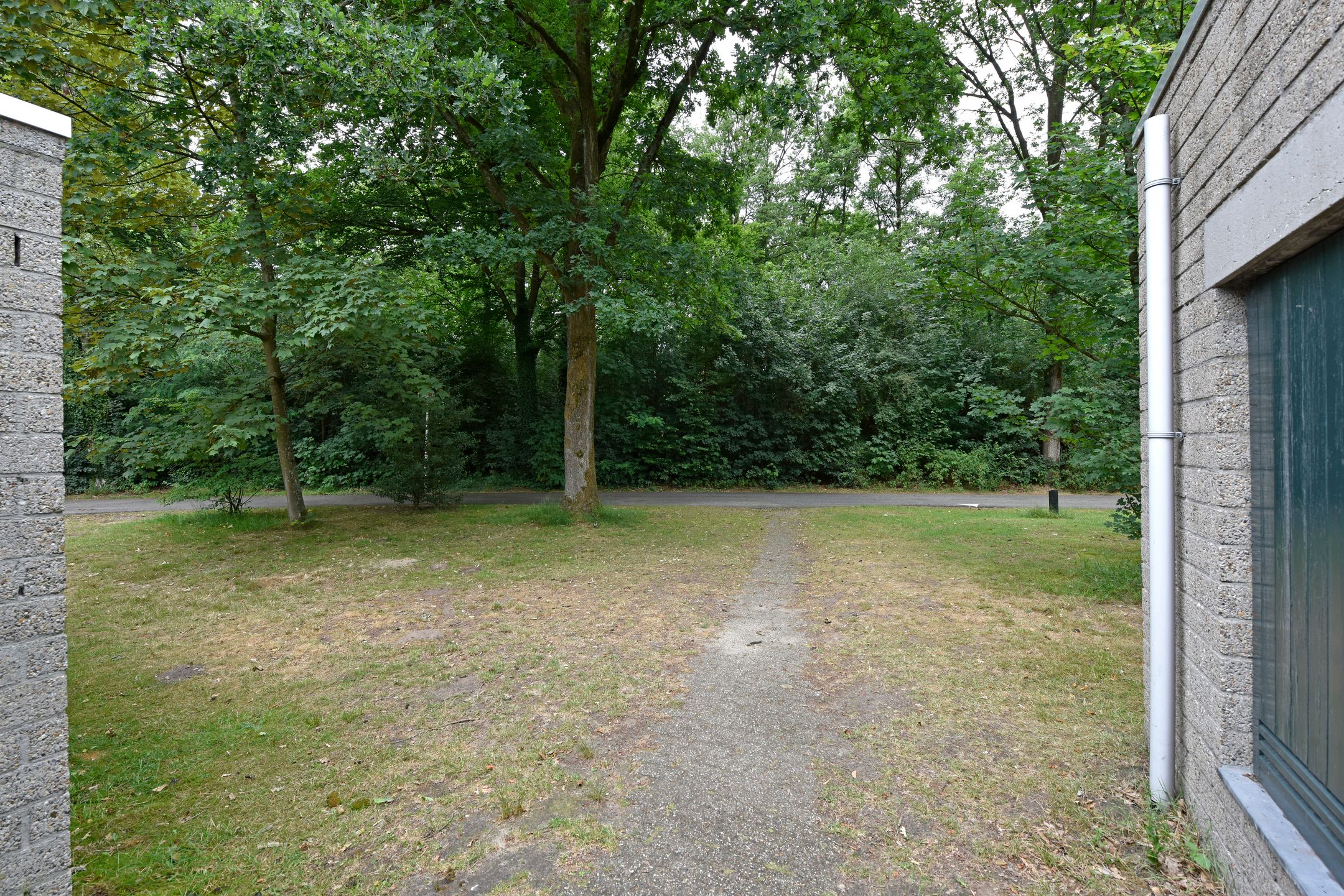 Photo 21 of Vennenbos 158