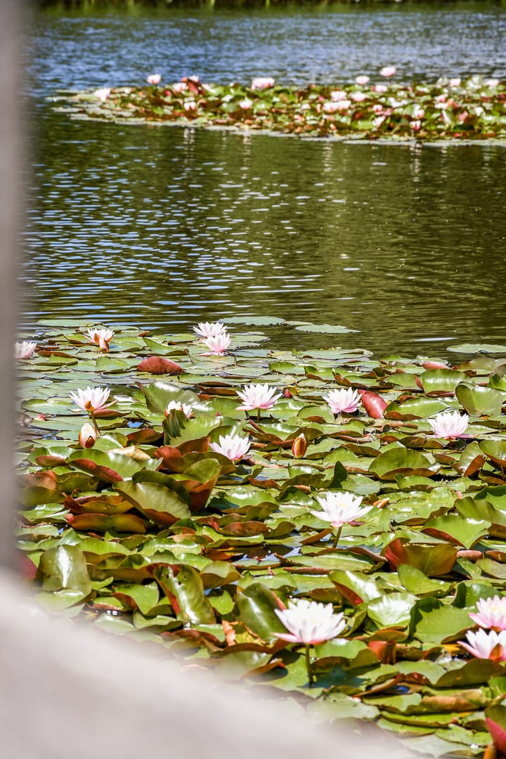 Foto 20 van Schoolstraat 19