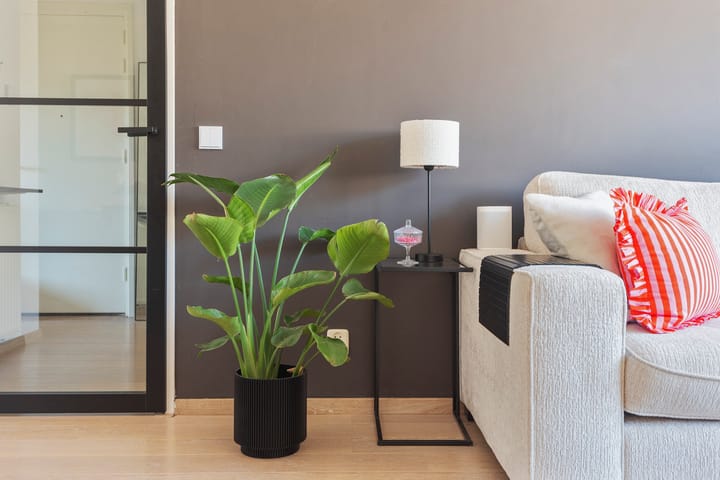 Foto 7 van Peperstraat 74