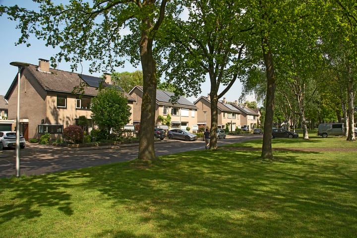 Foto 29 van Reviusstraat 101