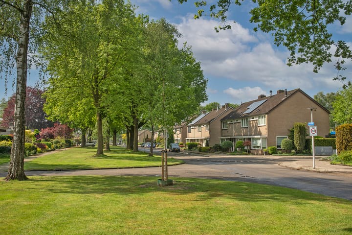 Foto 30 van Reviusstraat 101