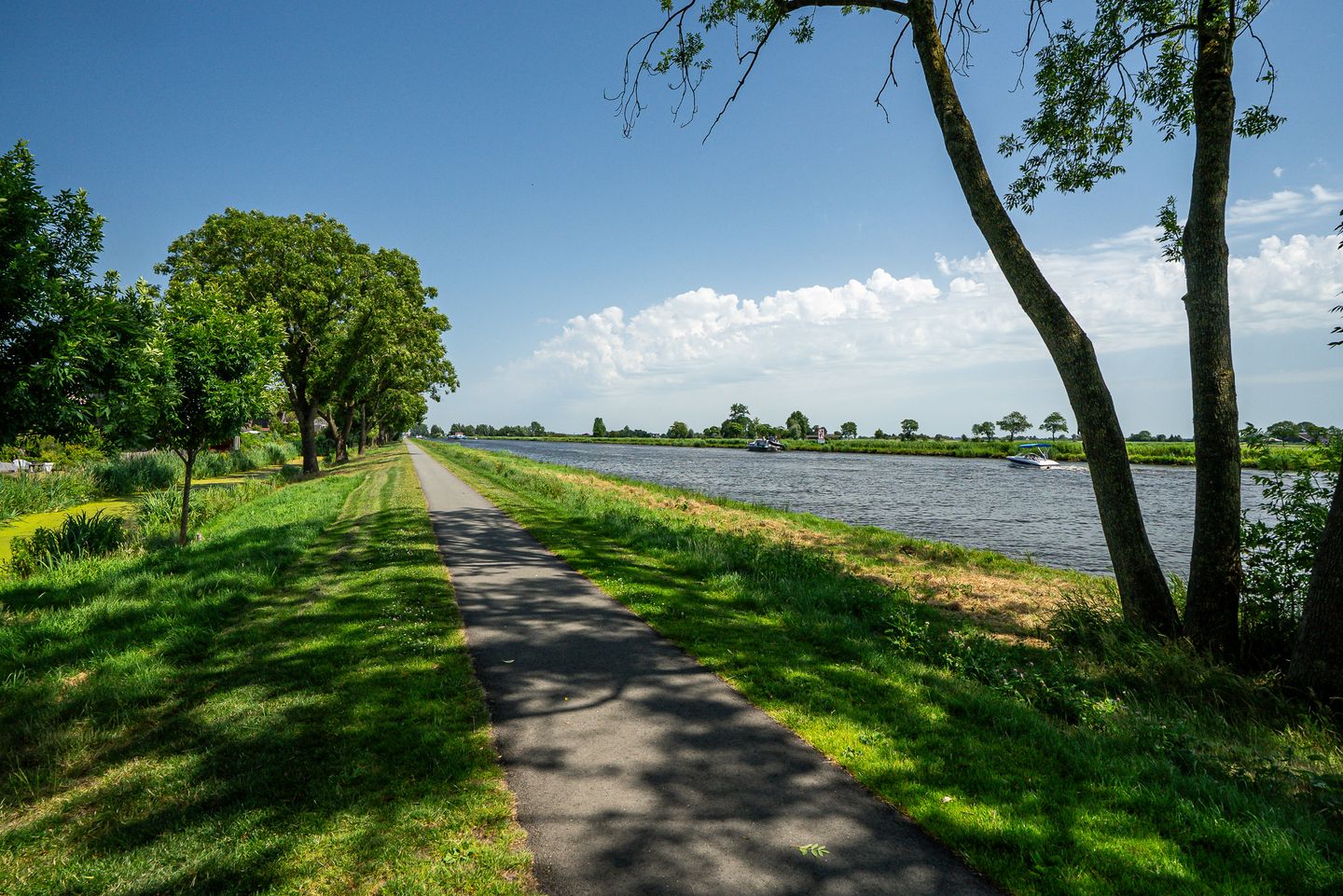 Photo 49 of De Waring 5-E