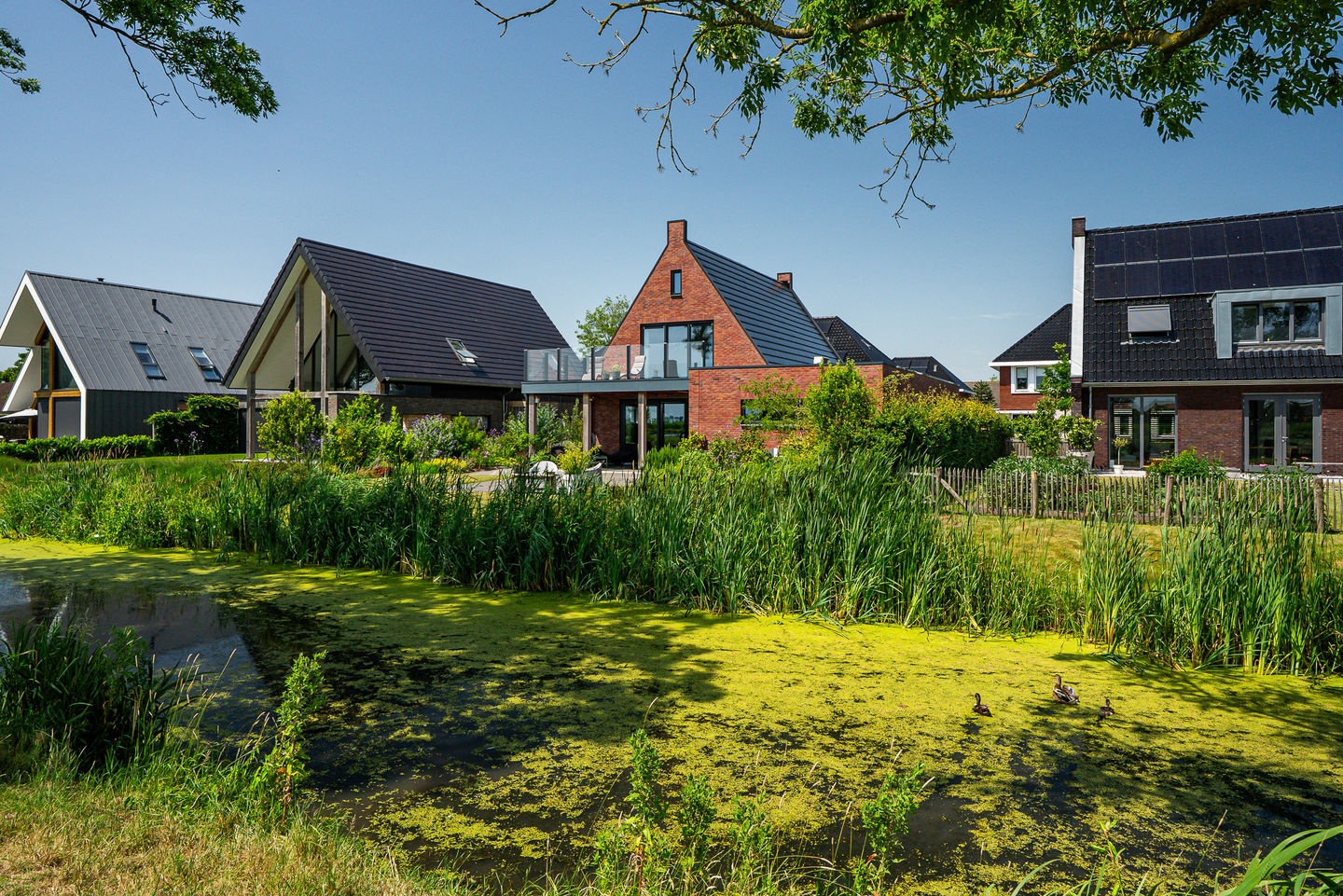 Photo 50 of De Waring 5-E