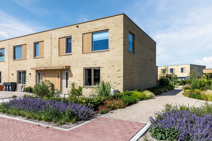 Foto 1 van Waterjufferpad 6