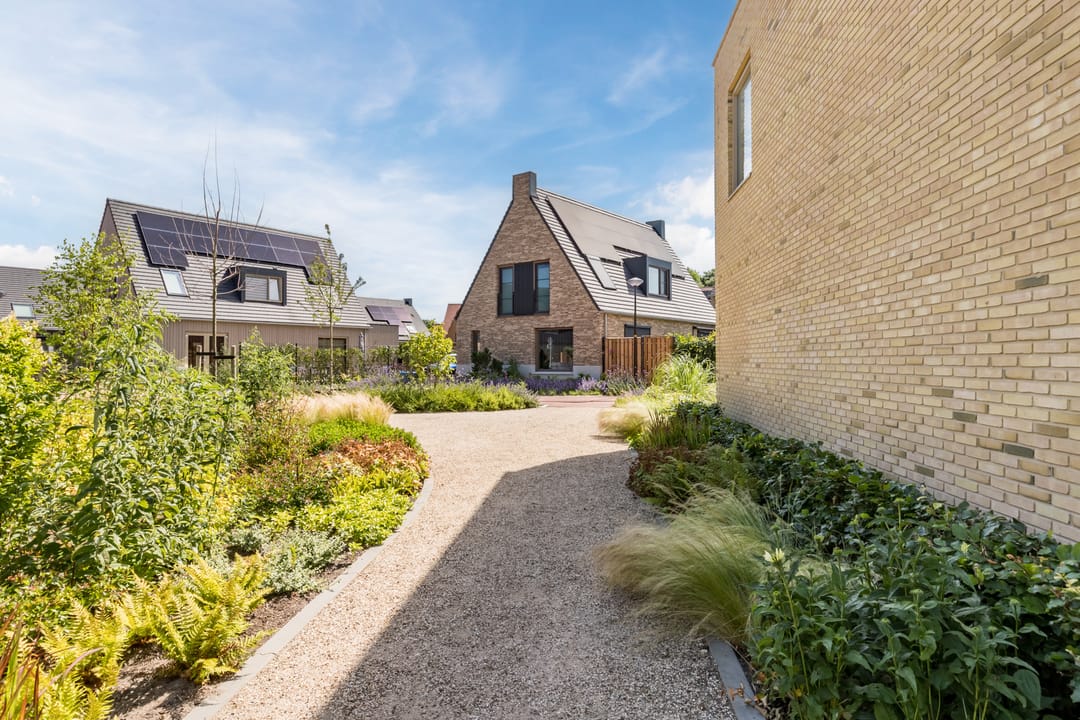 Foto 43 van Waterjufferpad 6