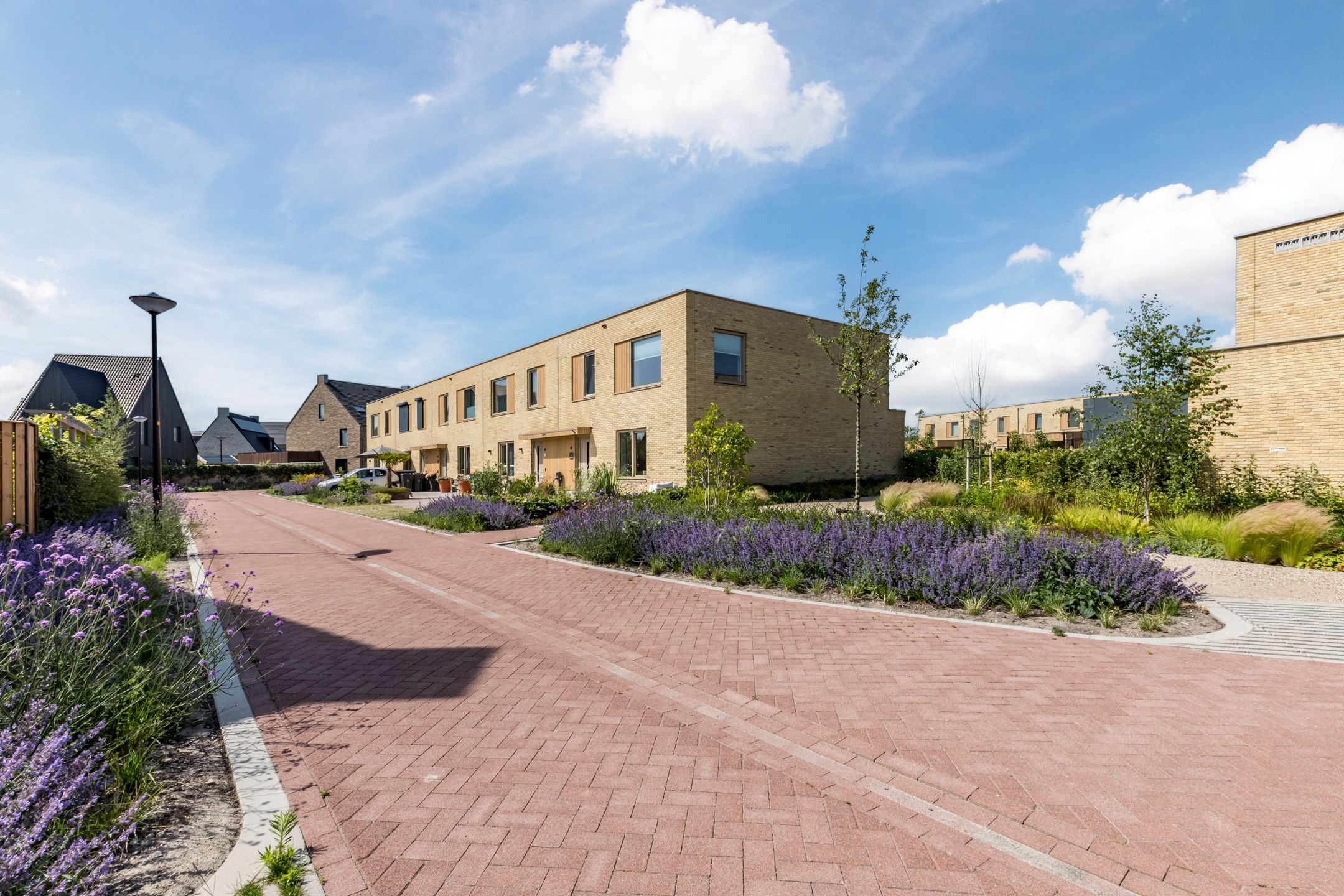 Foto 45 van Waterjufferpad 6