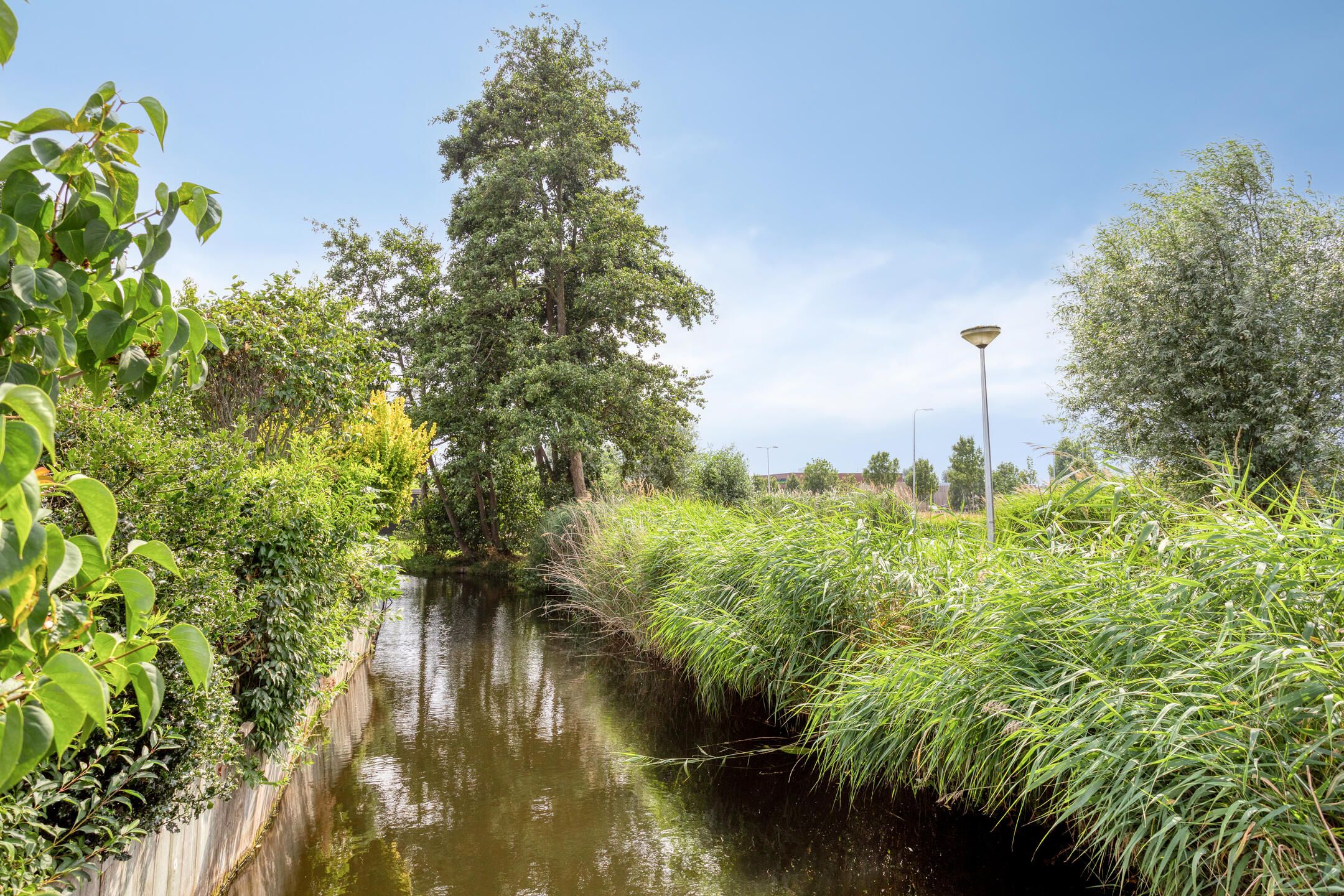 Photo 45 of Molenring 163