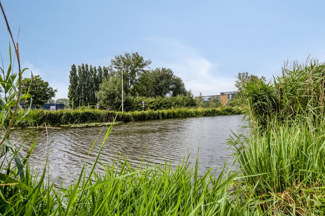 Photo 47 of Molenring 163